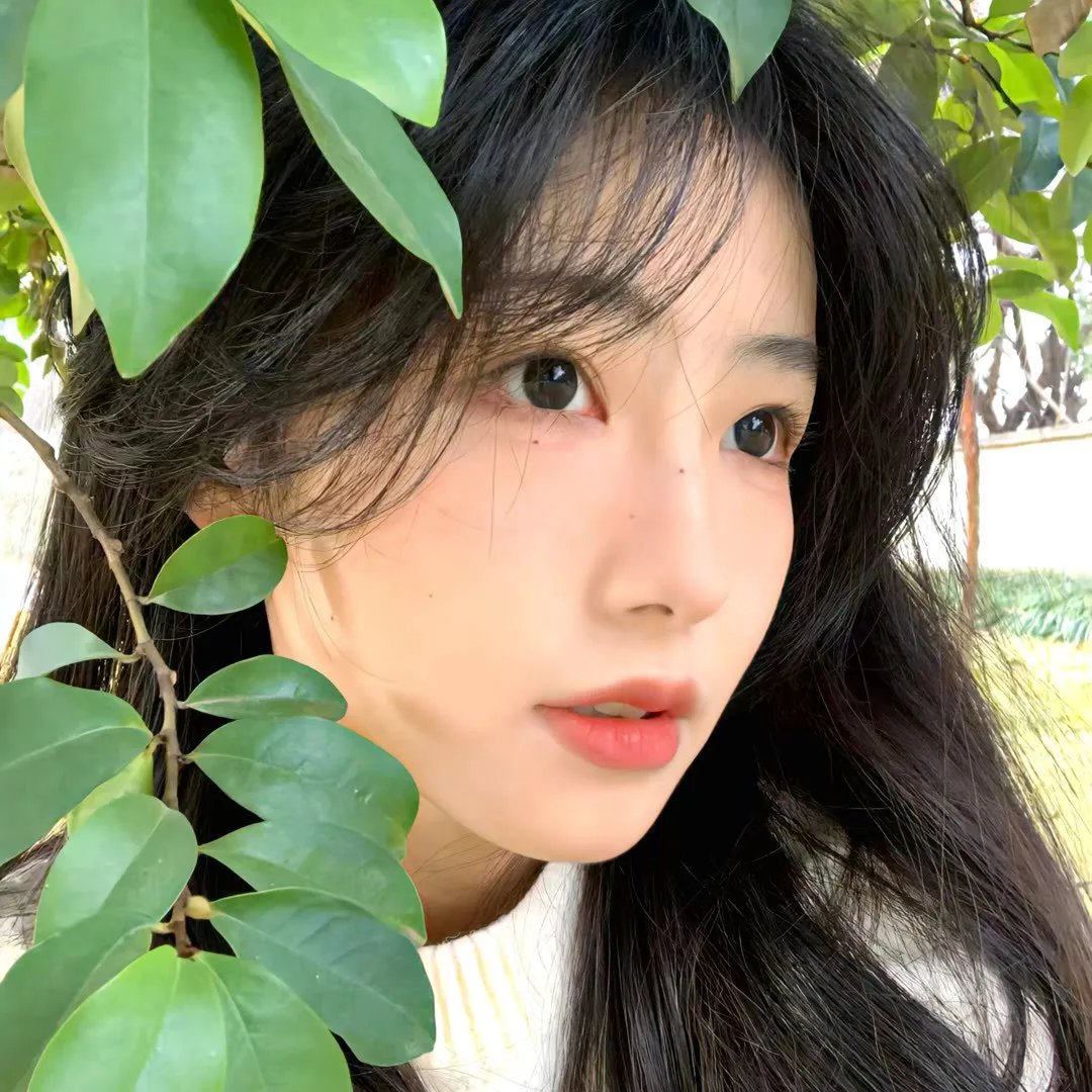 美丽城警察
