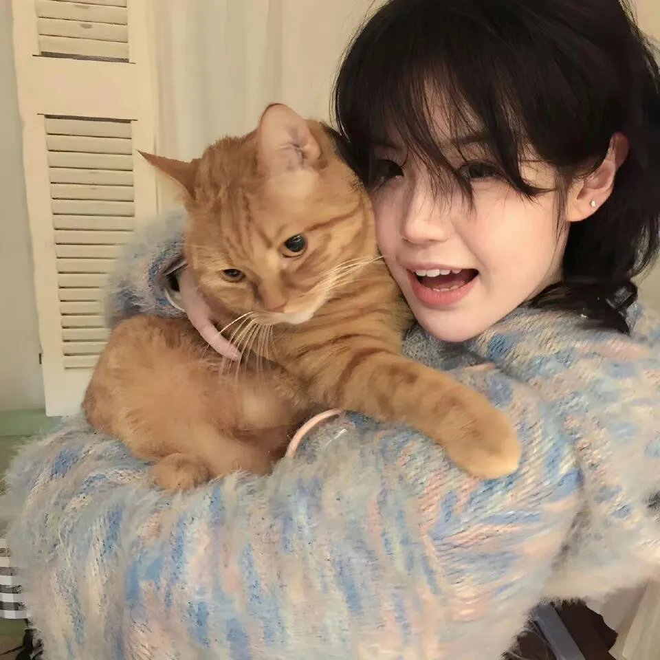 花心梦里人